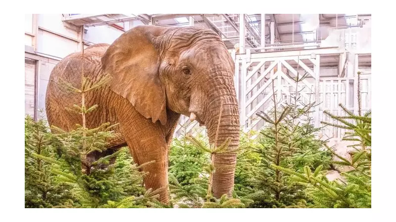 Noah's Ark Zoo Farm's Kids Go Free Offer Returns to Aid Families This Winter