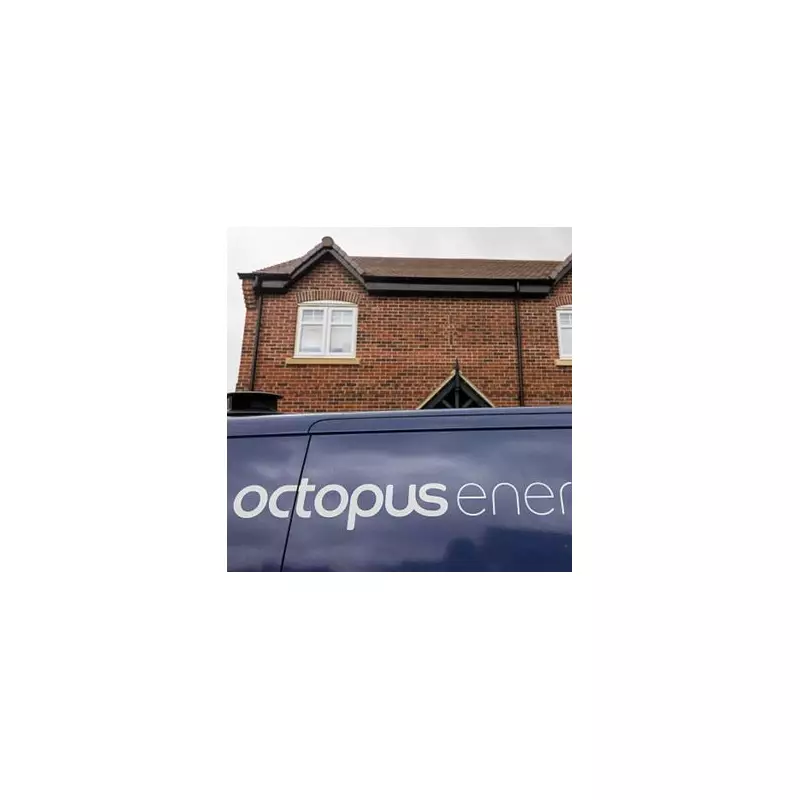 Octopus Energy Hits Major Milestone: One Million Smart Meters Installed in 2025