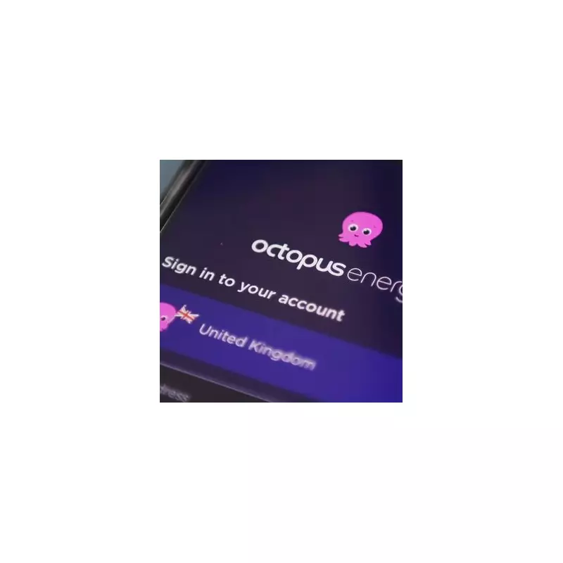 Octopus Energy: Three Simple Habits Can Slash £240 Off Your Energy Bill