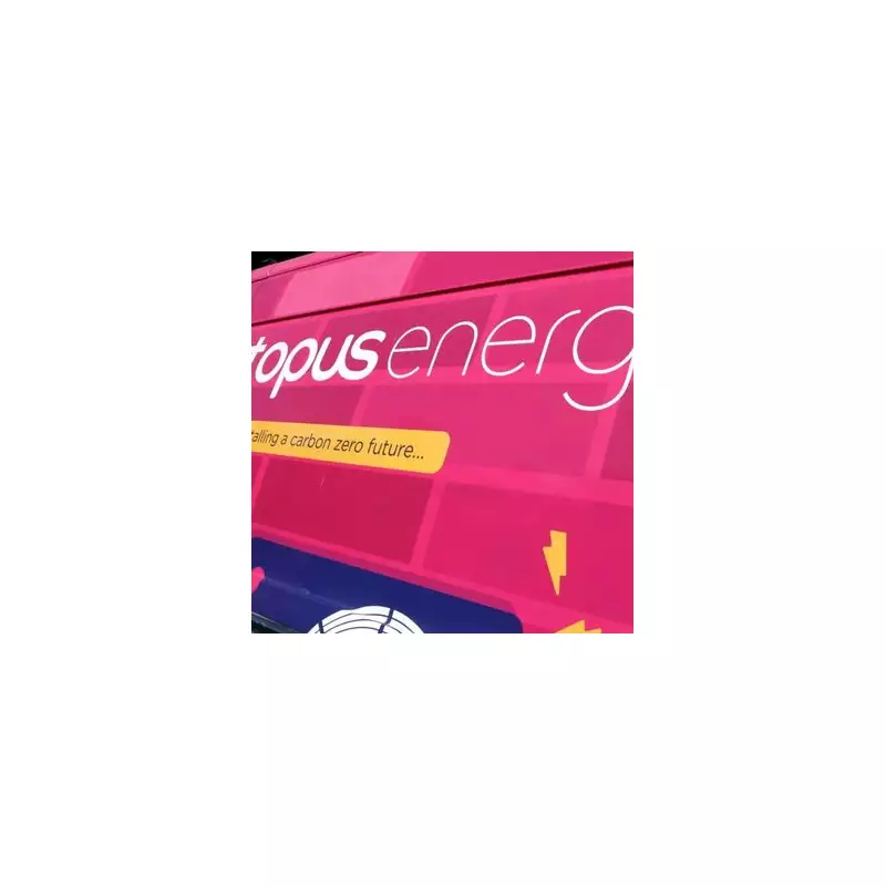 Octopus Energy's £65 Boiler Tip: Cut Bills Before Christmas