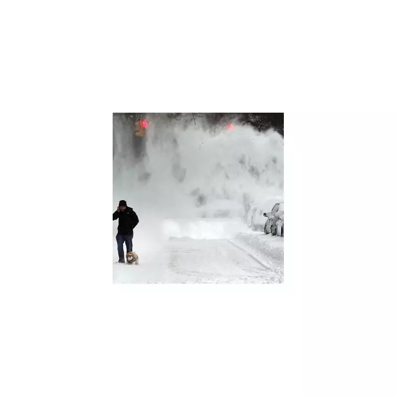 Over 1,000 US Flights Cancelled as Blizzards Disrupt Post-Christmas Travel