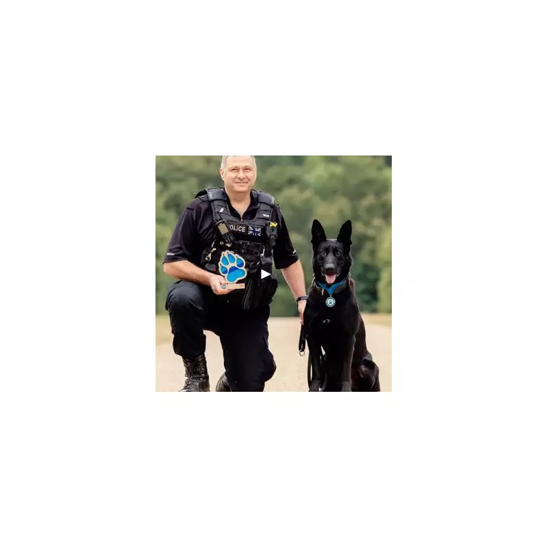 Police Dog Stark Dies: Heroic K9 Survived 20 Machete Blows in 2020 Attack