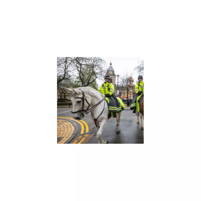 Police Horses Return to Birmingham After 26-Year Absence Following Riots