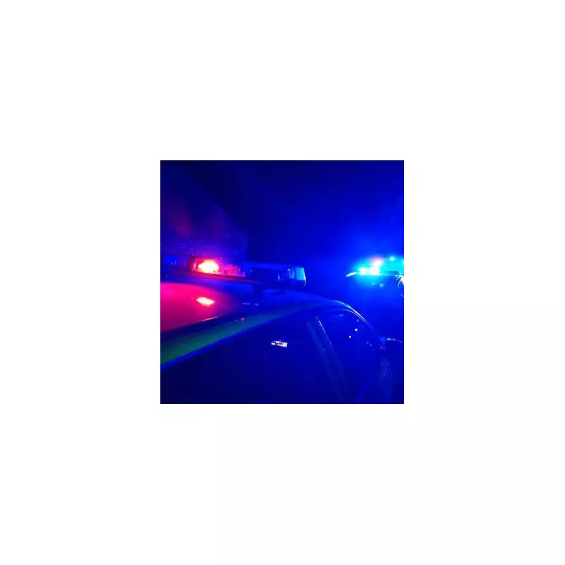 Porsche Driver Flees Multi-Vehicle Crash in Upper Tean with Dog