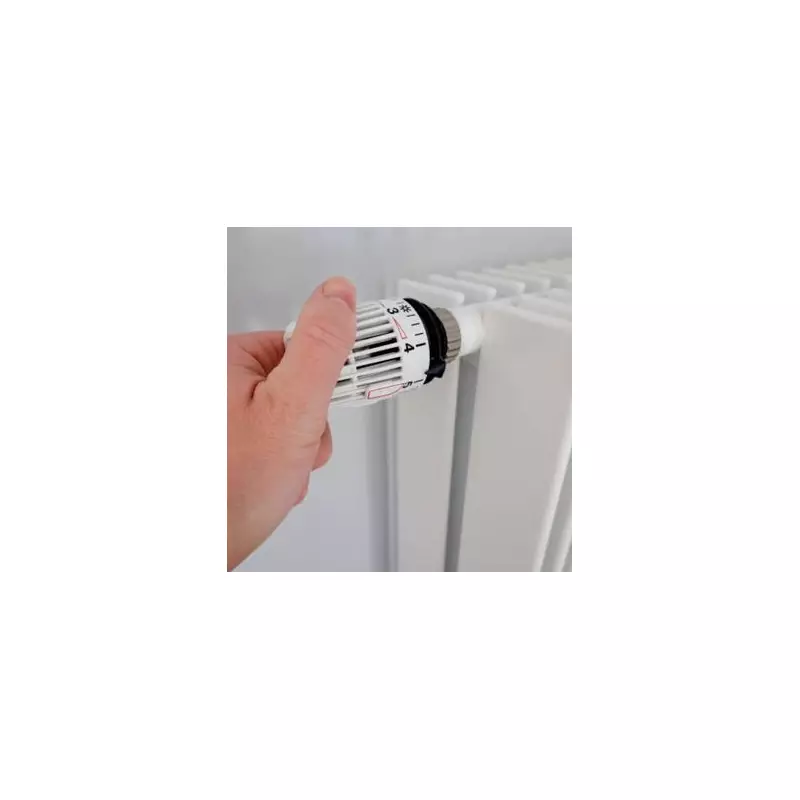 Radiator Drying Warning: UK Homes Risk £55 Energy Bill Rise