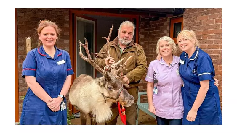 Reindeer, Footballers & Festive Cheer Light Up Nightingale House Hospice