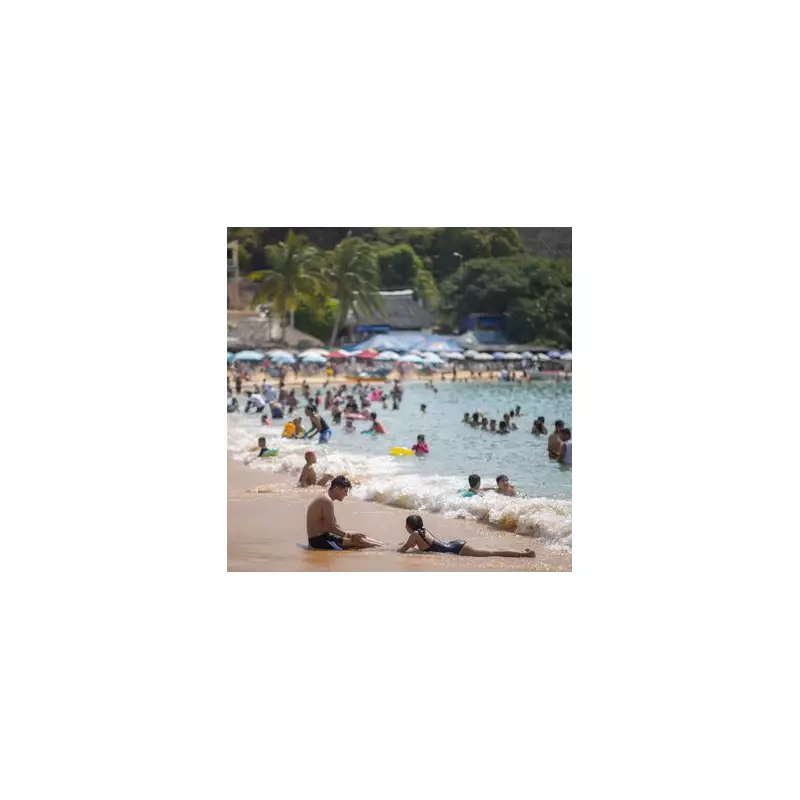 Seven Dead in Mexico Private Jet Crash During Emergency Landing Attempt