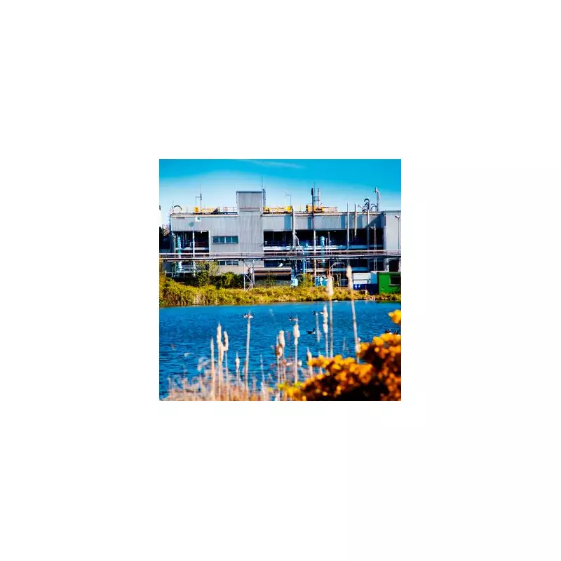 Sterling Pharma Eyes 2026 Recovery After £50.4m Loss and 28% Sales Drop