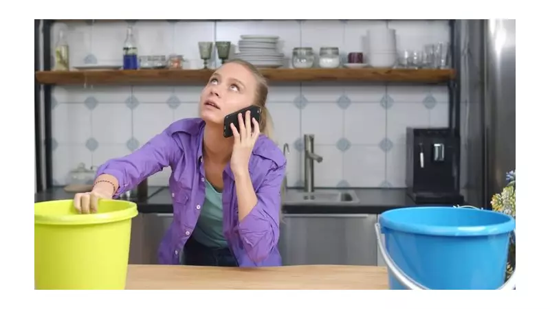 Stop Costly Water Damage: Fix Plumbing Leaks Early, Experts Urge