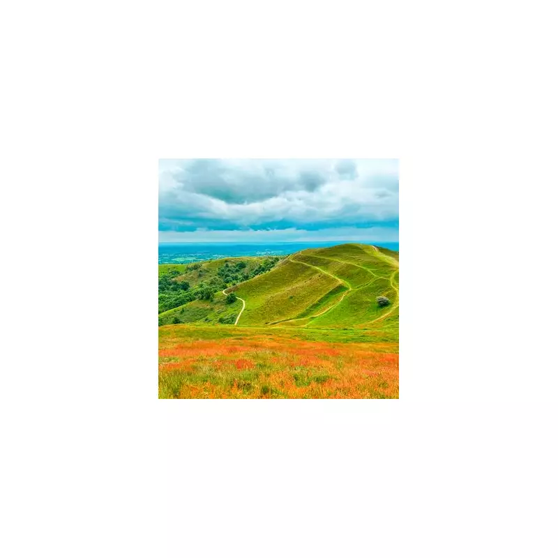 Teenage Girl, 16, Assaulted on Malvern Hills Footpath