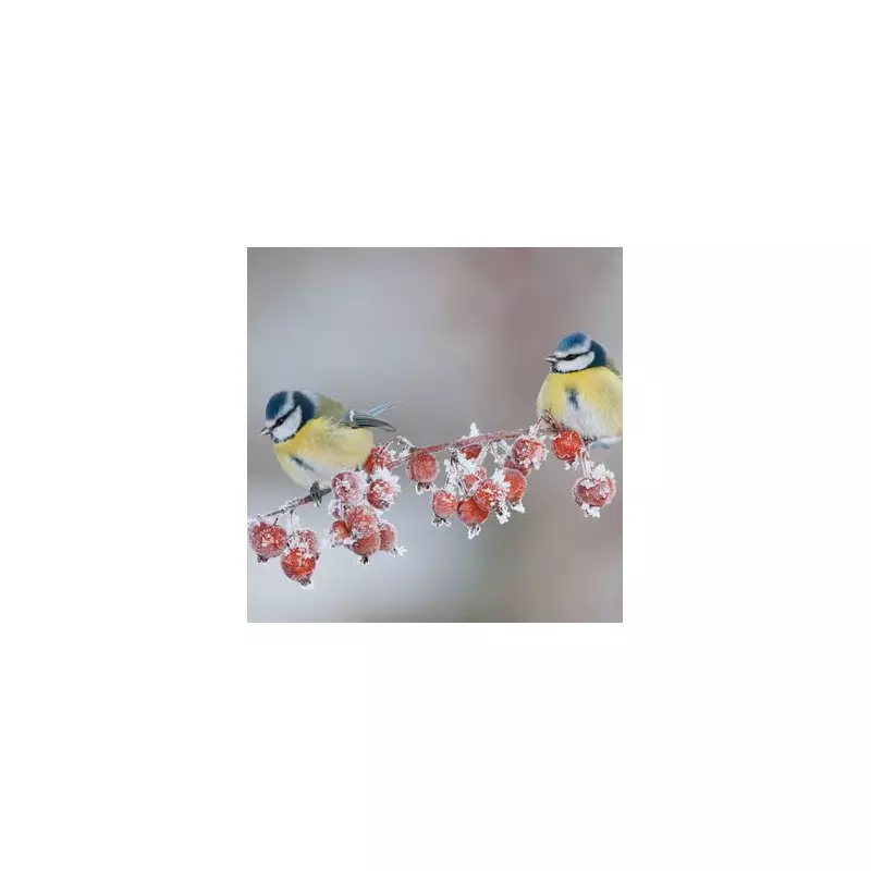 UK Christmas Weather: Frosty Temperatures and Wintry Showers Forecast