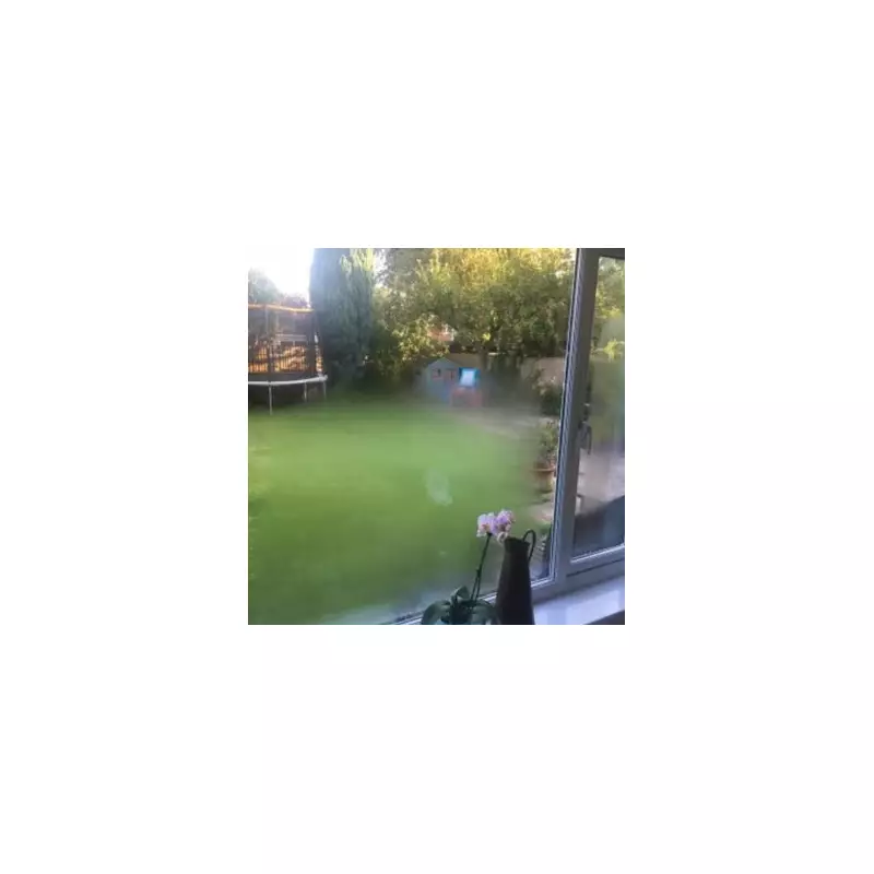 UK Condensation Warning: Faulty Double Glazing Drains Heat Before Christmas