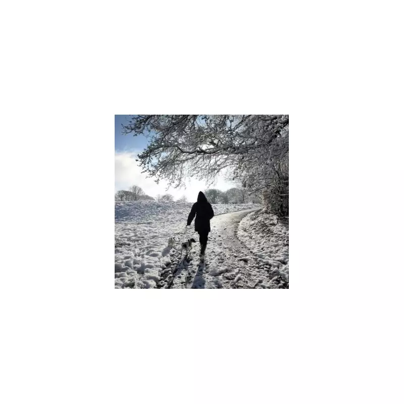 UK New Year Snow Forecast: Met Office Warns of 'Wintry Hazards' for Early 2026