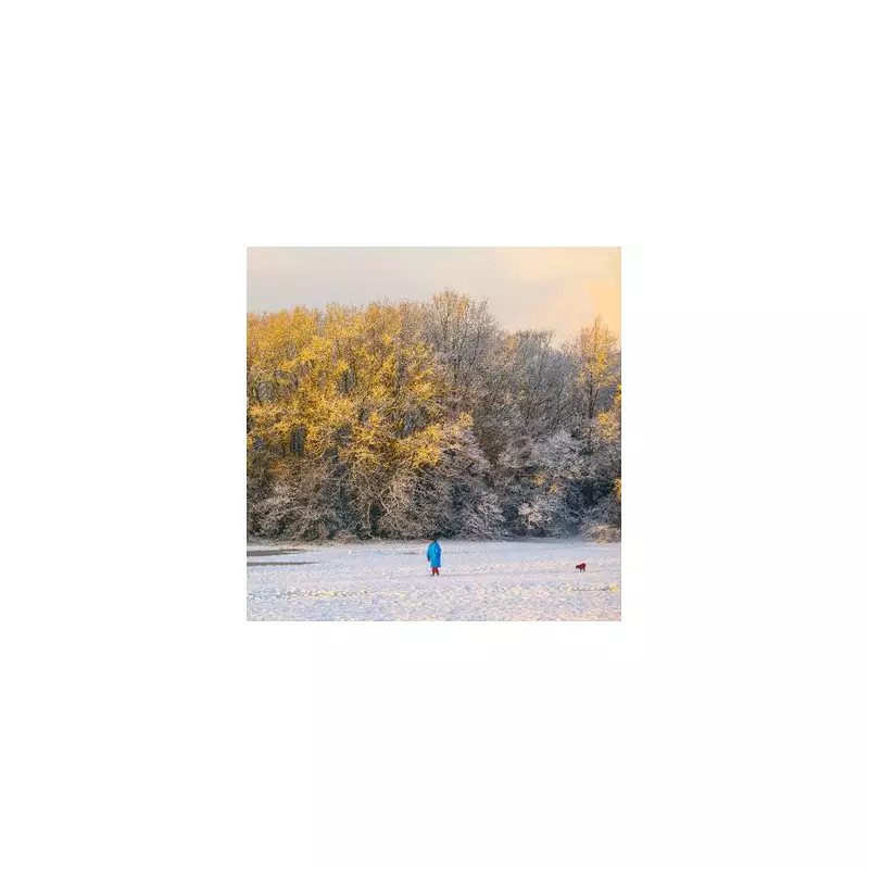 UK 'Snow Bomb' Alert: 16 Counties Brace for 15-Hour Christmas Blast