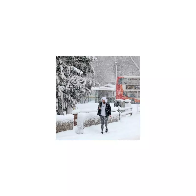 UK Snow Bomb Expands: 746-Mile Blast to Hit 36 English Counties