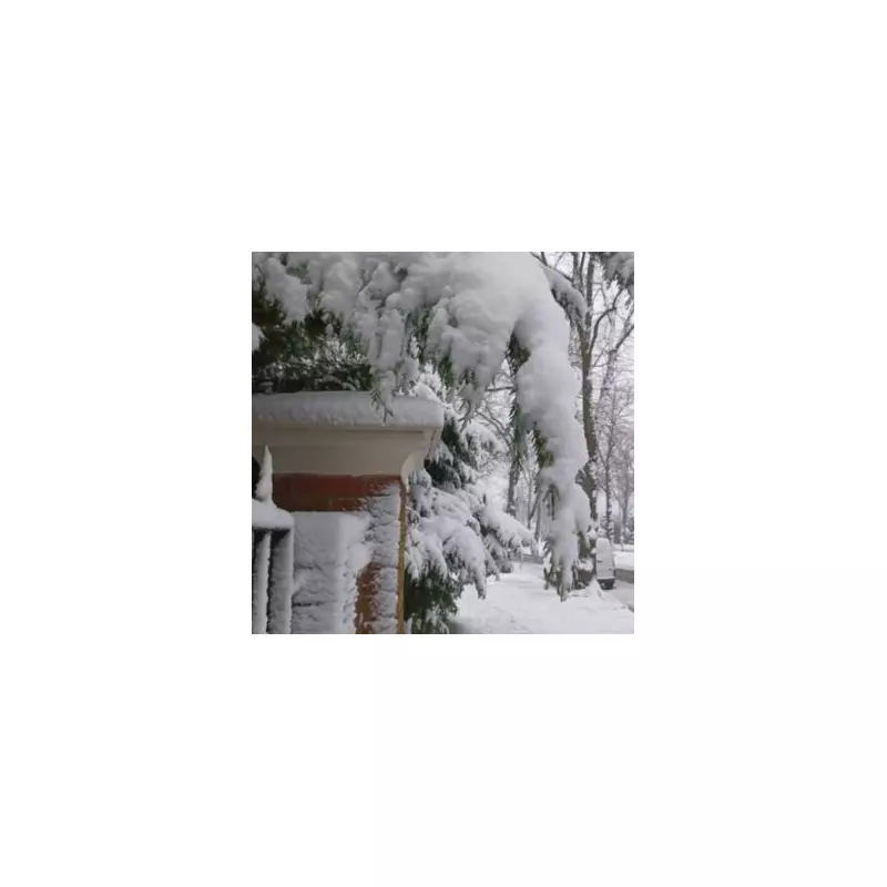 UK Snow Bomb Threat: Six Days of Snow Forecast with 80% Chance