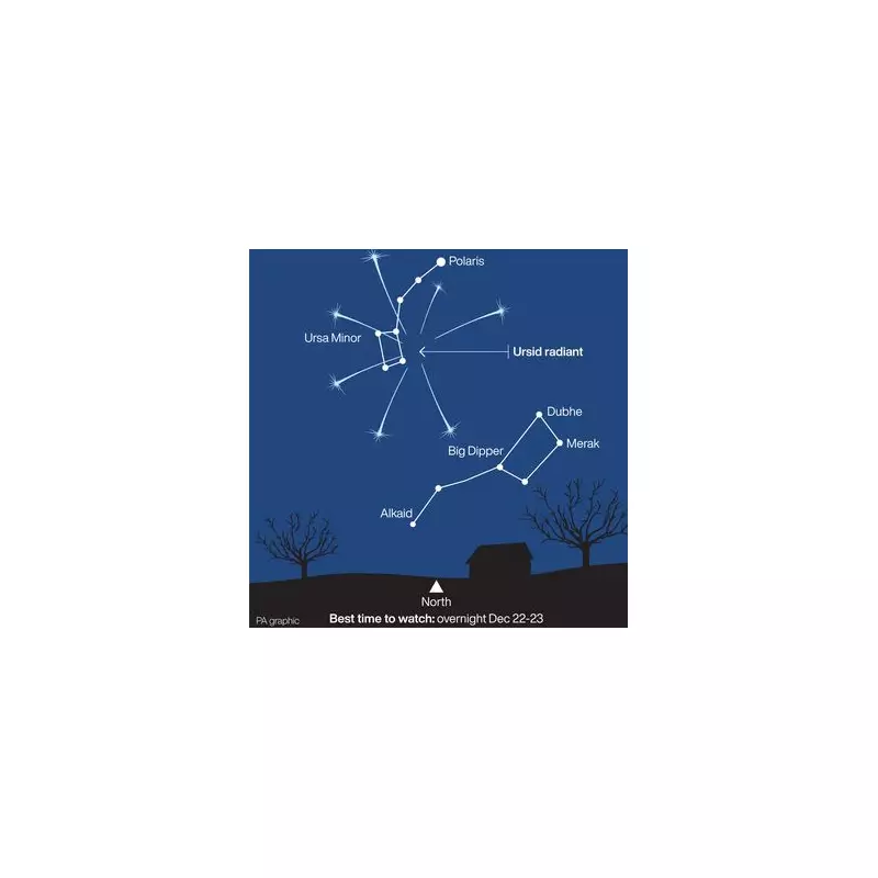 Ursid Meteor Shower Peaks Over UK: How to See 10 Meteors Per Hour