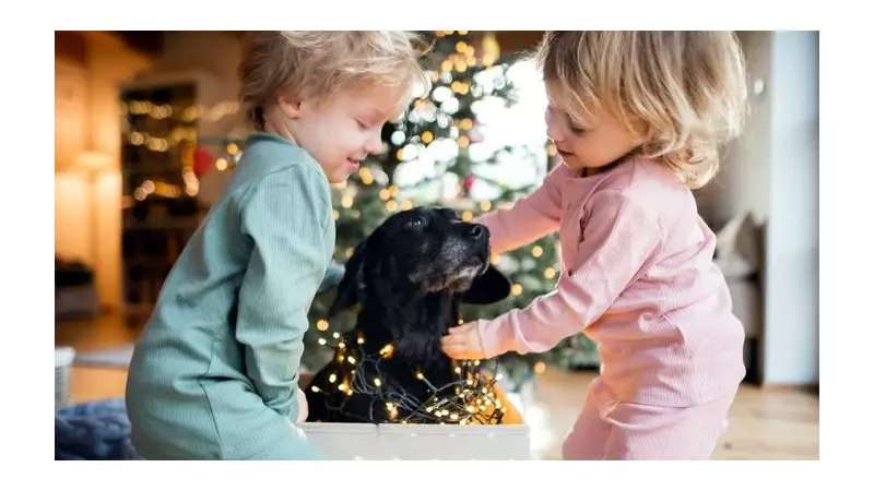 Vet's Festive Warning: Teach Children Dog Body Language This Christmas