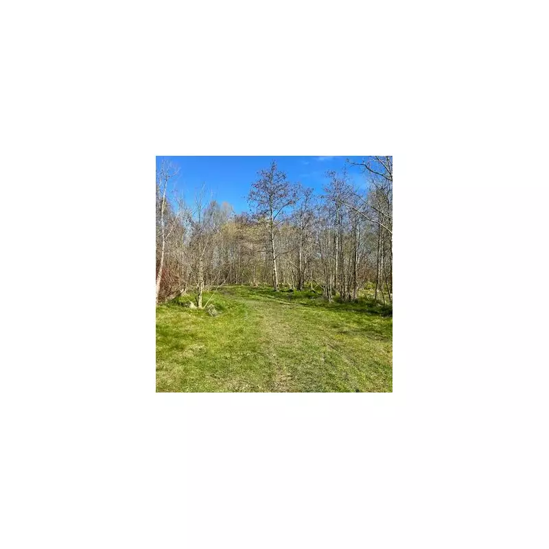 Walsall's £50m New School Plan Confirmed Amid Green Space Row