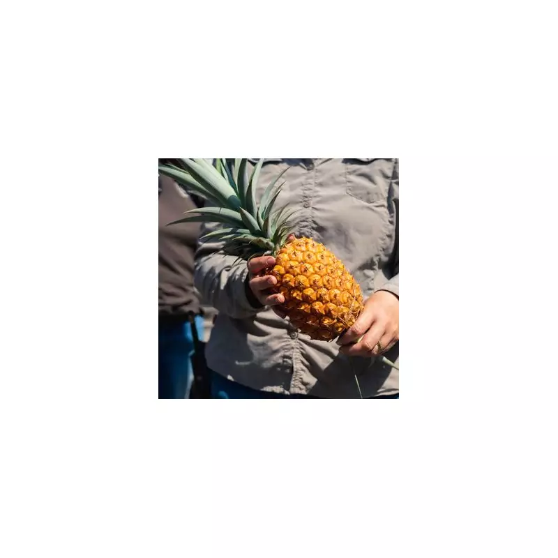 Warwickshire Police's Top 5 Bizarre 999 Calls of 2025 Revealed