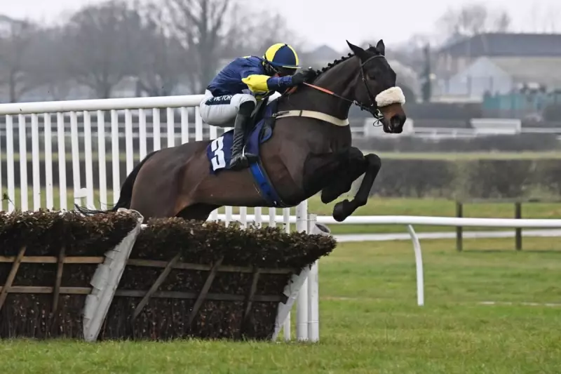 Wendigo's Newbury Triumph: Racing Club's Grade 2 Win Delights Thousands of Owners