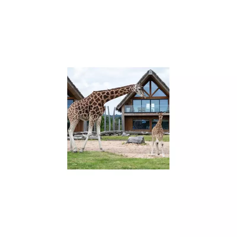 West Midlands Safari Park Expands with Eight New Lodges for 2026