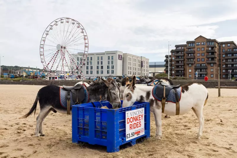 Weston-super-Mare: The Classic Brummie Seaside Getaway Just 2 Hours Away