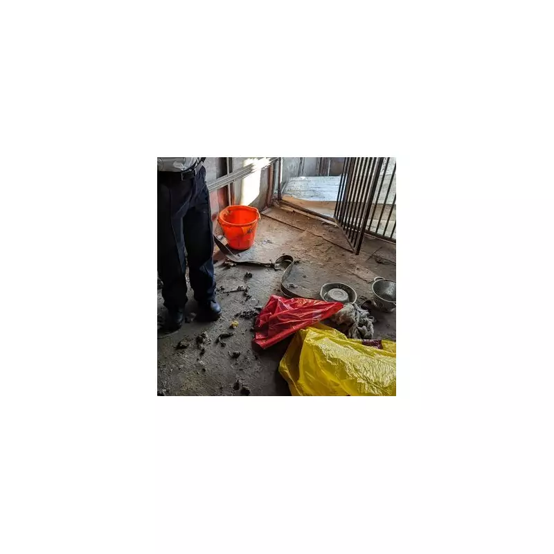 Wolverhampton Breeder Jailed for Animal Cruelty After Dogs Found Starved