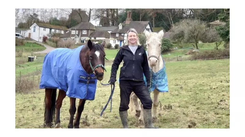 Working Ponies Return to UK Farming at Sussex Disability Support Centre