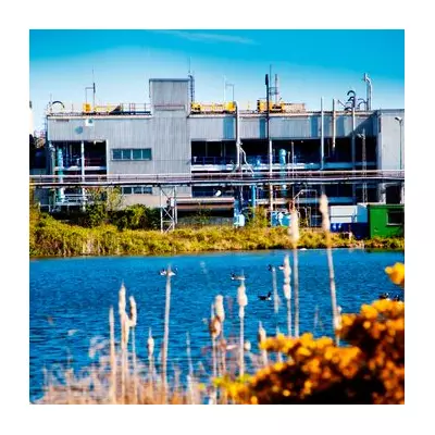 Sterling Pharma Eyes 2026 Recovery After £50.4m Loss and 28% Sales Drop