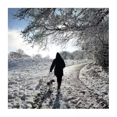 UK Snow Maps Turn Dark Blue as 20-Inch Winter Storm Targets Britain