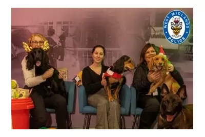 West Midlands Police Dogs Get Festive Treats from Staff Donations
