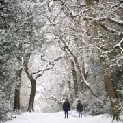 12 Stunning Winter Walks Near Birmingham to Blow Away the Cobwebs