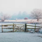 16 Best National Trust Winter Walks with Cafes Near Birmingham