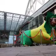 16 Signs You're a True Brummie: The Ultimate Birmingham Checklist