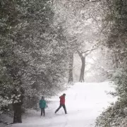 16 Stunning Winter Walks Near Birmingham: From Snowy Parks to Frosty Hills