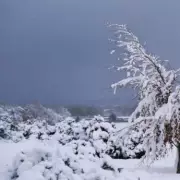 21-Hour Snow Storm to Hit UK: Full Timeline and White Christmas Odds Slashed