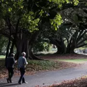 4.3 Million UK Pension Savers Shielded from New £2,000 NICs Cap