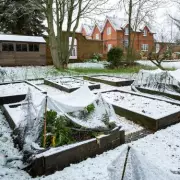 5 Essential January Gardening Tasks for a Vibrant Spring Garden