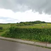 650 New Homes and Country Park Proposed for Newcastle-under-Lyme