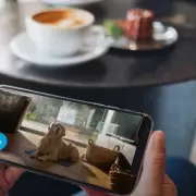 Amazon Slashes Blink Pet Camera to £9.99: Perfect for Pet Monitoring