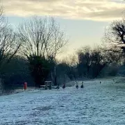 Bird Flu Outbreak at Kingsbury Water Park: Key Safety Guidance