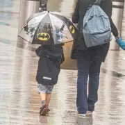 Birmingham battered by 45mph winds and rain as tree blocks railway