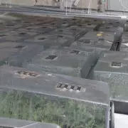 Birmingham Police Uncover £9.5m Cannabis Farm, One of UK's Largest