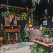 Birmingham's New Plant Shop Offers Calm Oasis for Christmas Shopping