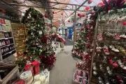 Bournville Garden Centre's Christmas Wonderland & Festive Afternoon Tea