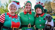 Darlington's Mental Elf Run Raises Over £5k for Local Mental Health