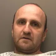 Delivery driver jailed for 6 years after fatal overtake kills girl, 7