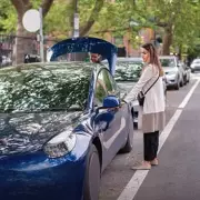 Drivers Warned: 3 Trees to Avoid Parking Under in England