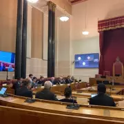 Dudley Council's 17% Carbon Cut Sparks 'False Accounting' Warning